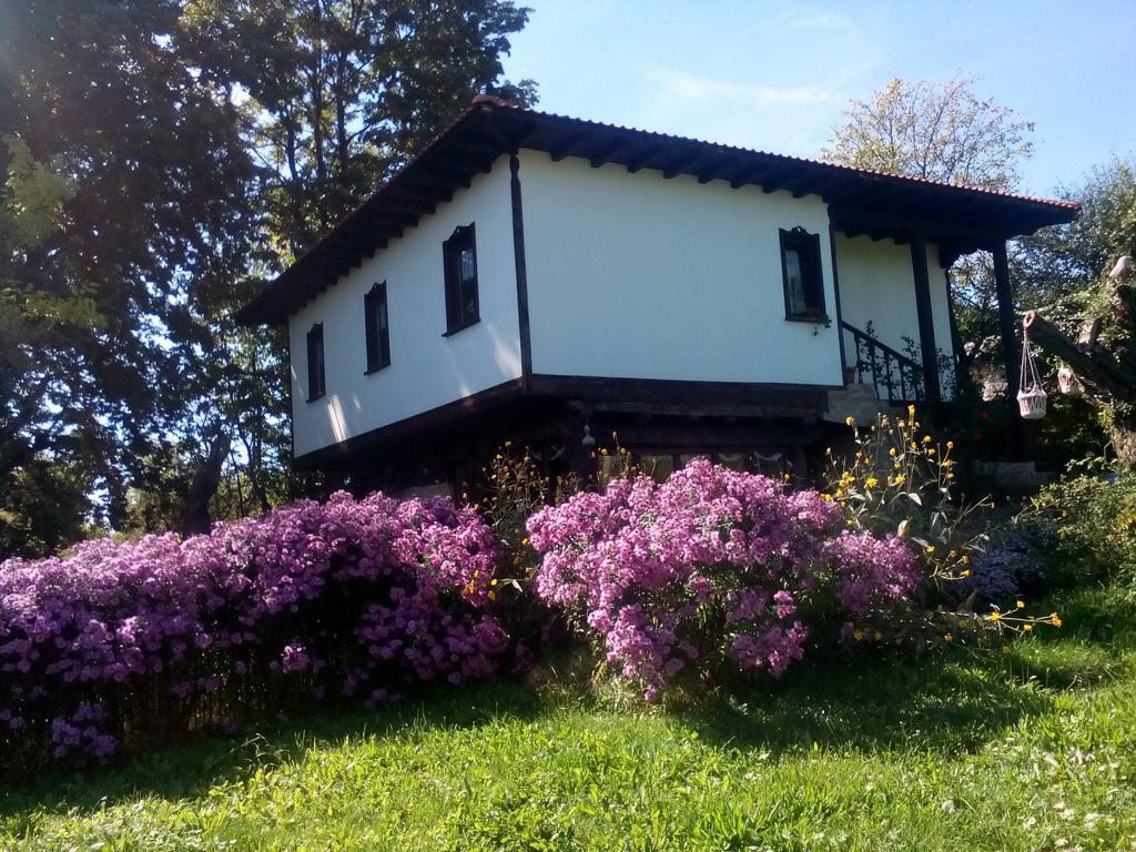 Hotel Complex Roden Kray à Vlaychovtsi Chambre photo